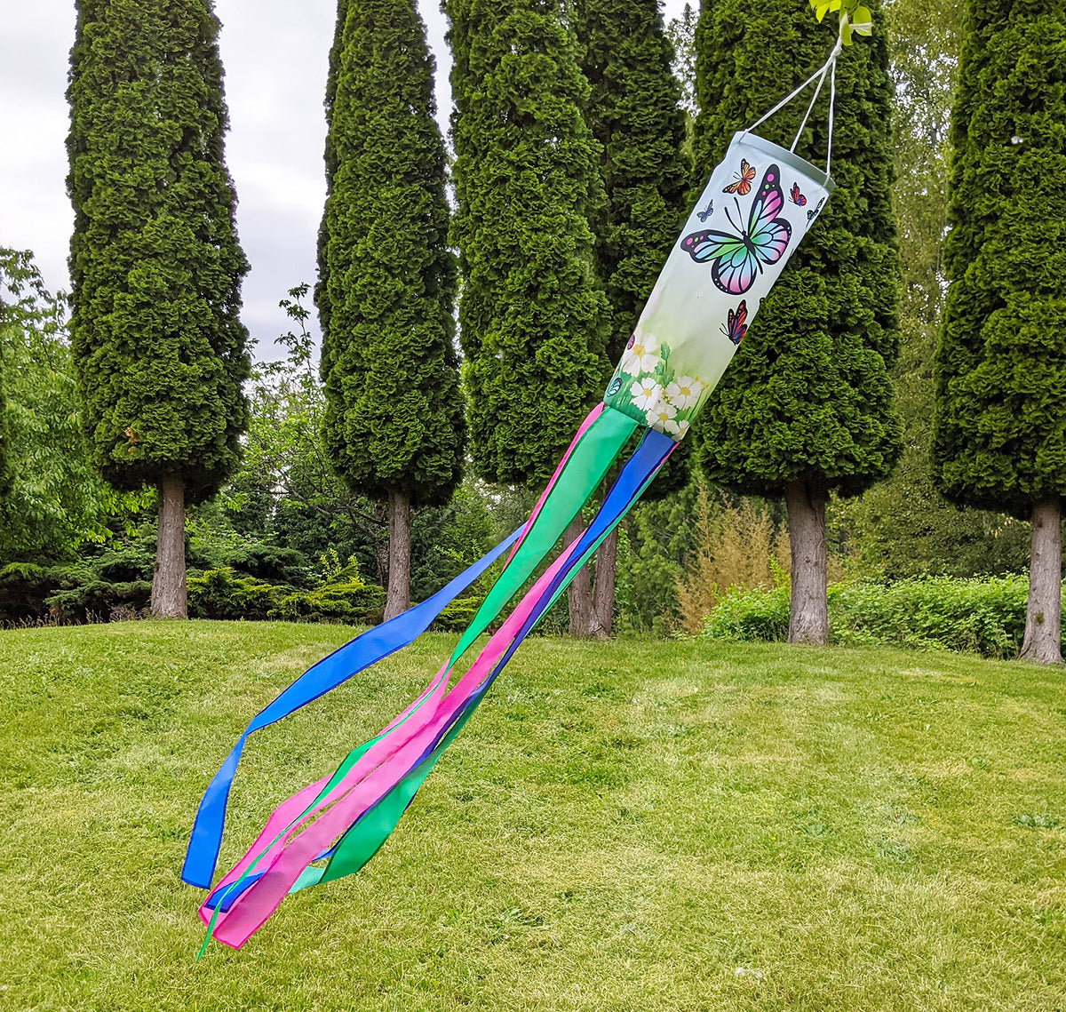 Madrona Brands windsock against green gradient background enhances curb appeal.