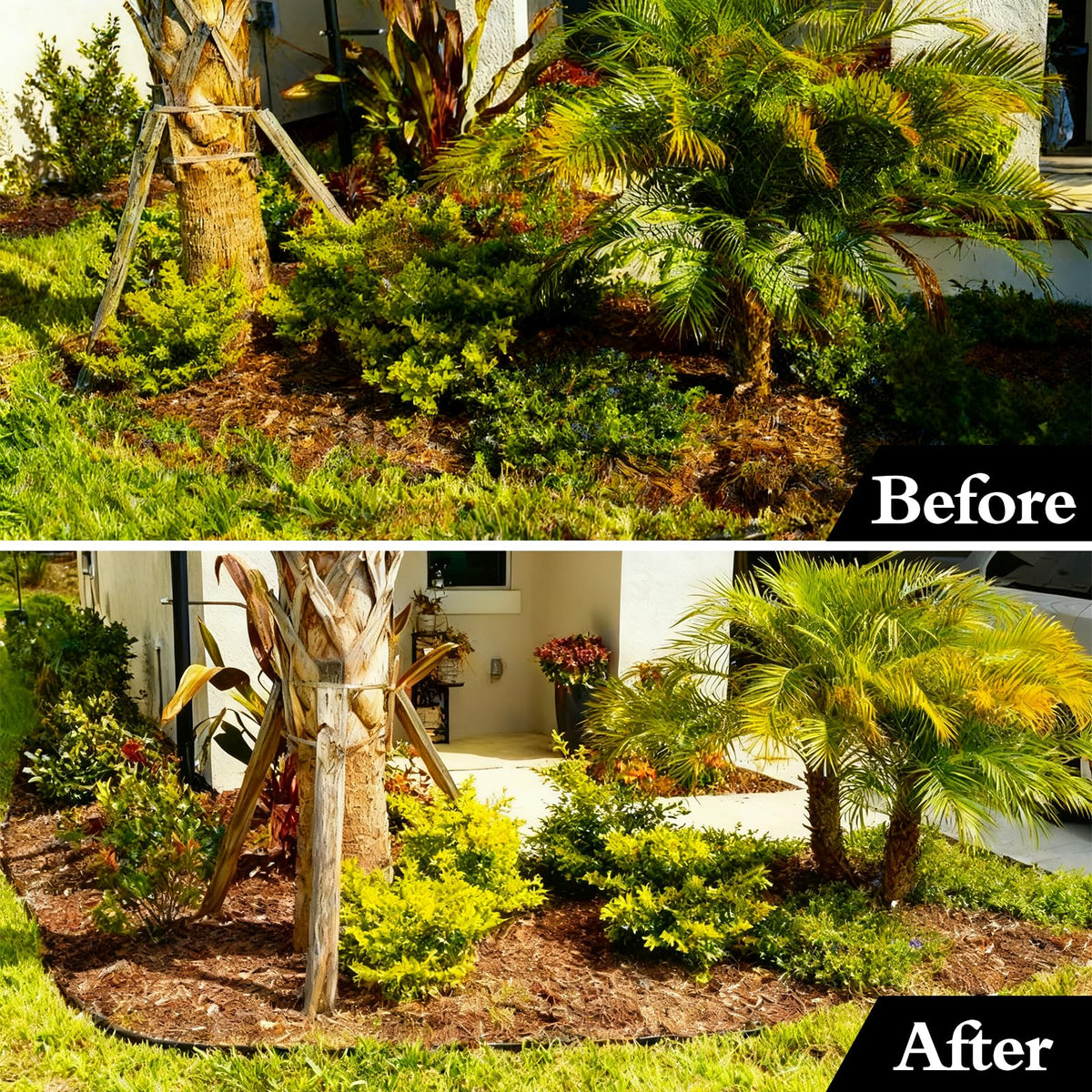 Maebeacae flexible border helps you shape your own garden landscape.