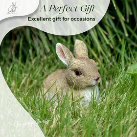 Mageeki outdoor bunny statues securely packaged for shipping