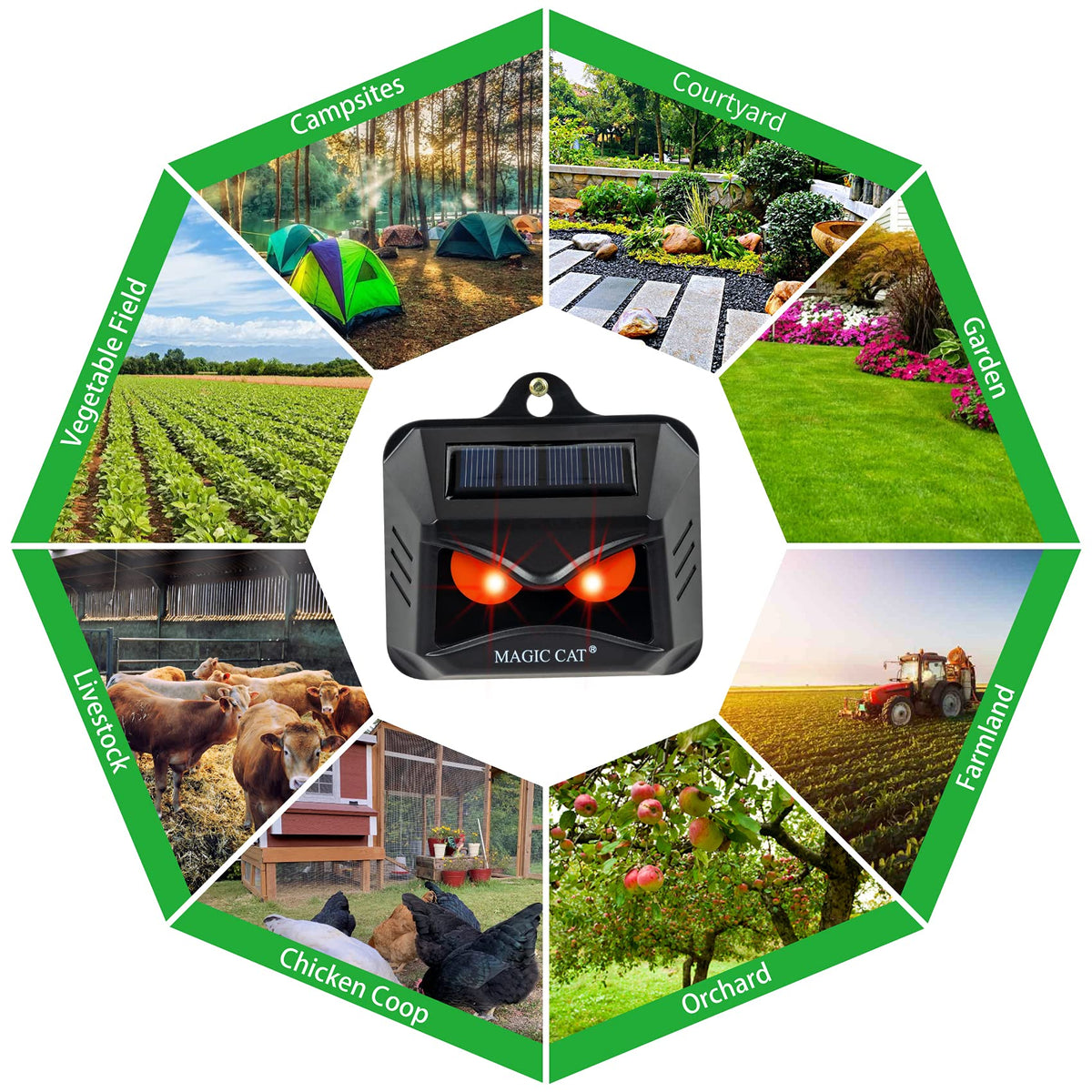 Magic Cat humane deterrent for gardens and coops without chemicals