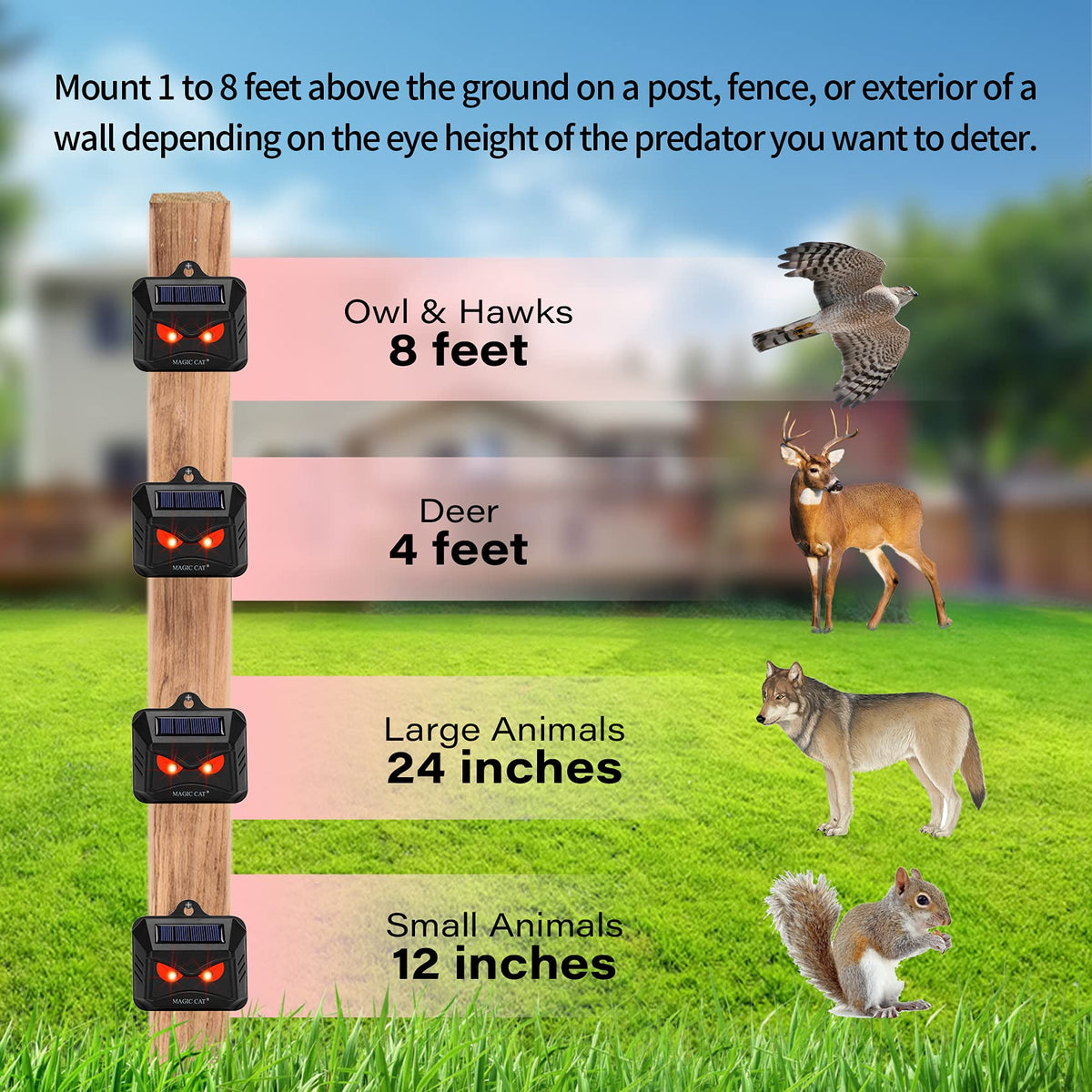 Magic Cat energy saving design charges sunlight for seven days
