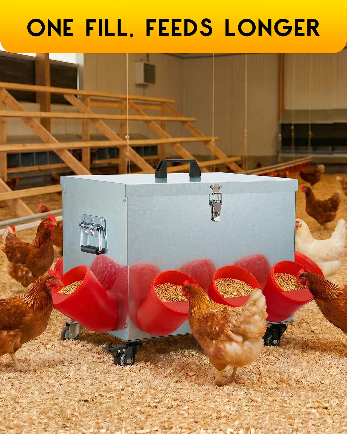 Magicfly feeder in coop during daily use for multi-bird feeding