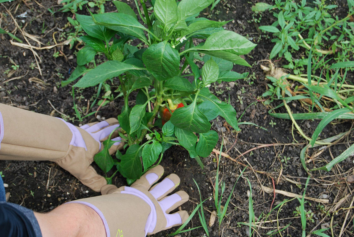 MAGID BE195TS floral-print gloves combine style with secure grip in the garden.