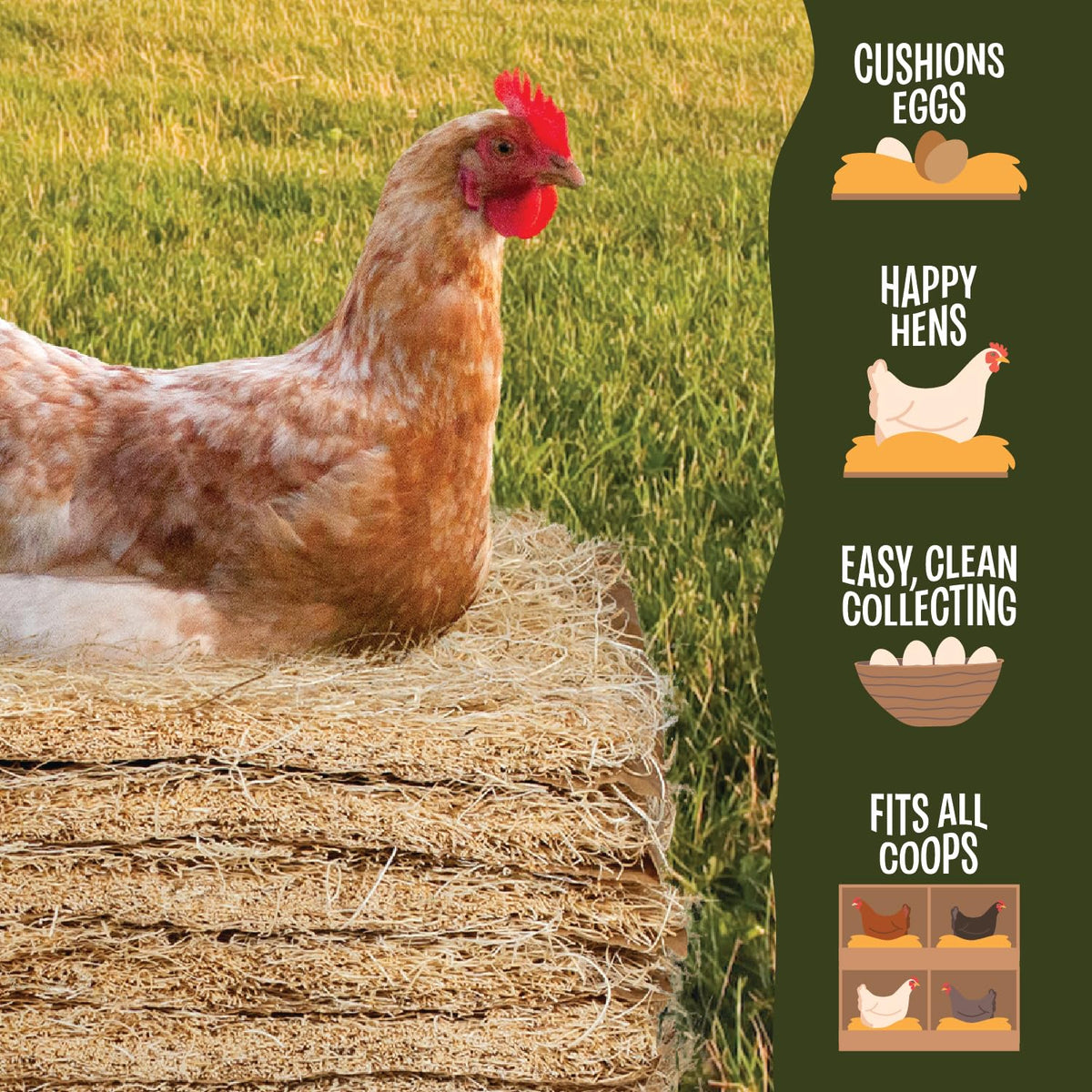 Liner design guides waste through to preserve nest cleanliness.
