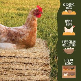 Liner design guides waste through to preserve nest cleanliness.