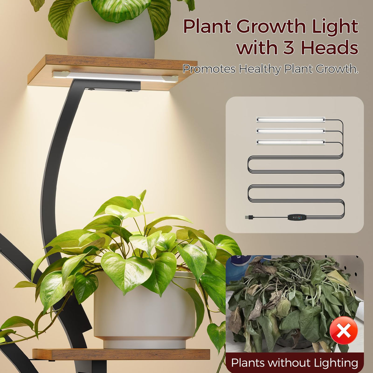 MAHANCRIS curved lines living room display enhances decor and plant showcase