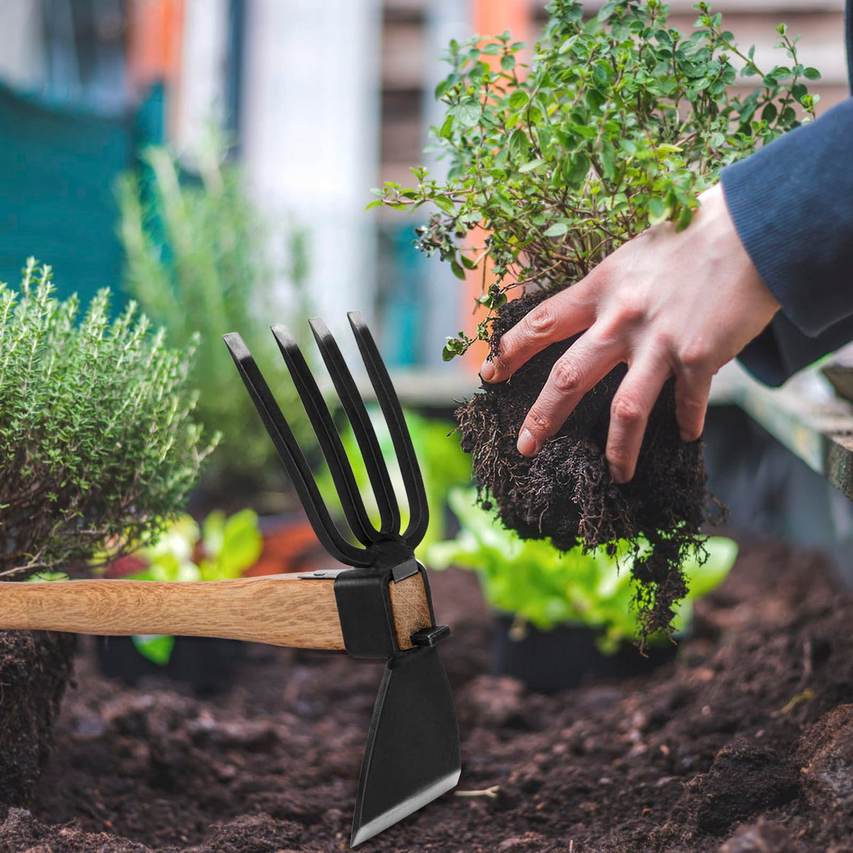 MAHOOMMAKH 2-in-1 tool suits beginners for weed removal and seedbed prep