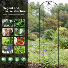 Maidapulu cucumber trellis guiding vines upward in a sunny garden