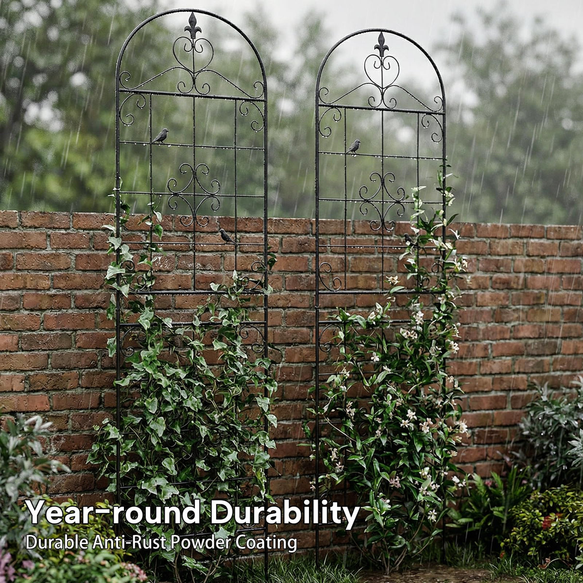 Maidapulu easy-assembly trellis designed for quick setup