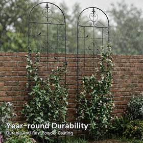 Maidapulu easy-assembly trellis designed for quick setup