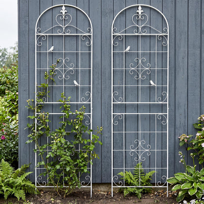 Maidapulu garden trellis supports roses and clematis for strong vertical growth.