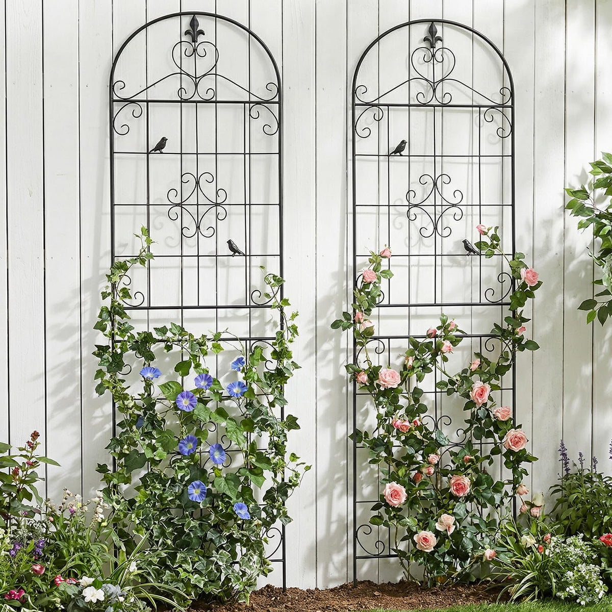 Maidapulu garden trellis supports roses with sturdy rustproof frame for outdoors