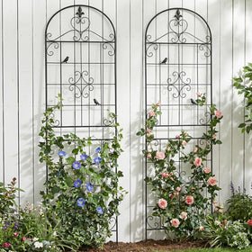 Maidapulu garden trellis supports roses with sturdy rustproof frame for outdoors