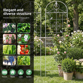 Maidapulu garden trellis provides cucumber and vegetable support for efficient gardening.