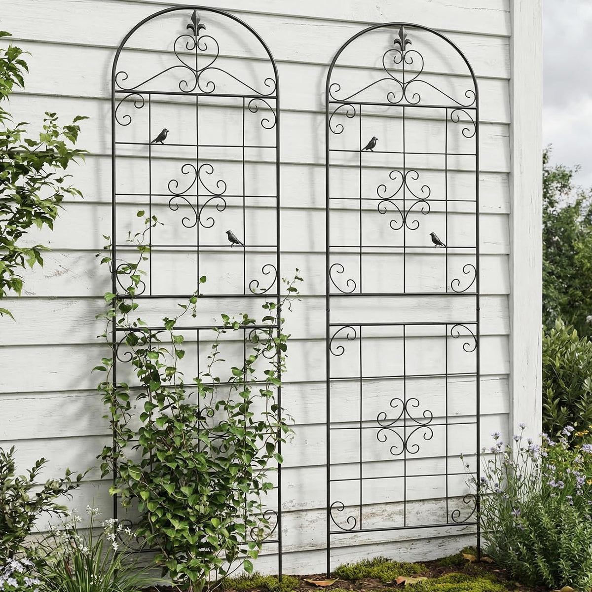 Maidapulu garden trellis for vertical gardening in compact outdoor spaces