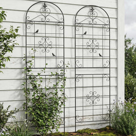 Maidapulu garden trellis for vertical gardening in compact outdoor spaces