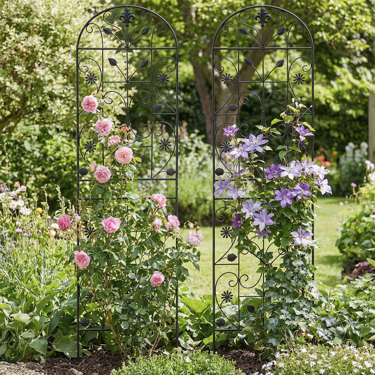 Maidapulu rustproof trellis withstands varying weather conditions.