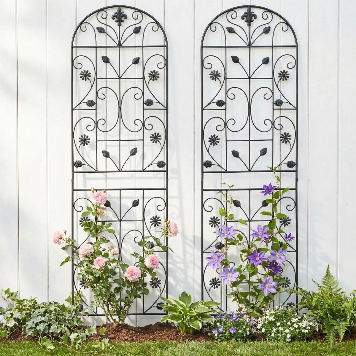 Maidapulu trellis vertical-garden support for ivy and roses.
