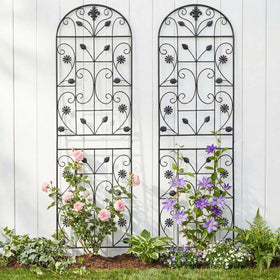 Maidapulu trellis vertical-garden support for ivy and roses.