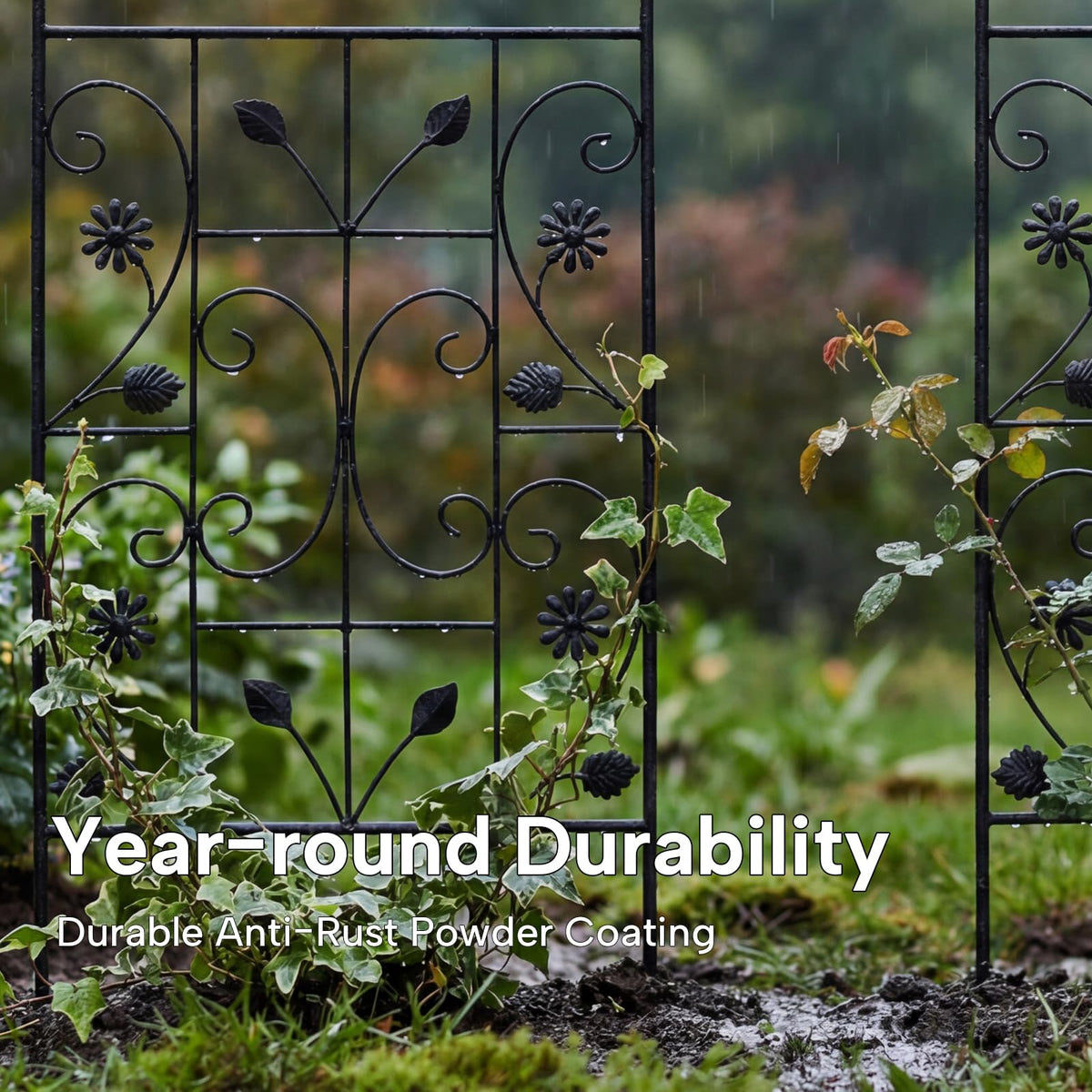 Maidapulu iron construction blends durability with decorative appeal.