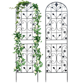 Maidapulu trellis outdoor 2-pack supports tall vertical gardens.
