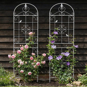 Maidapulu two-pack 70-8 inch trellis offers sturdy outdoor vertical framing.