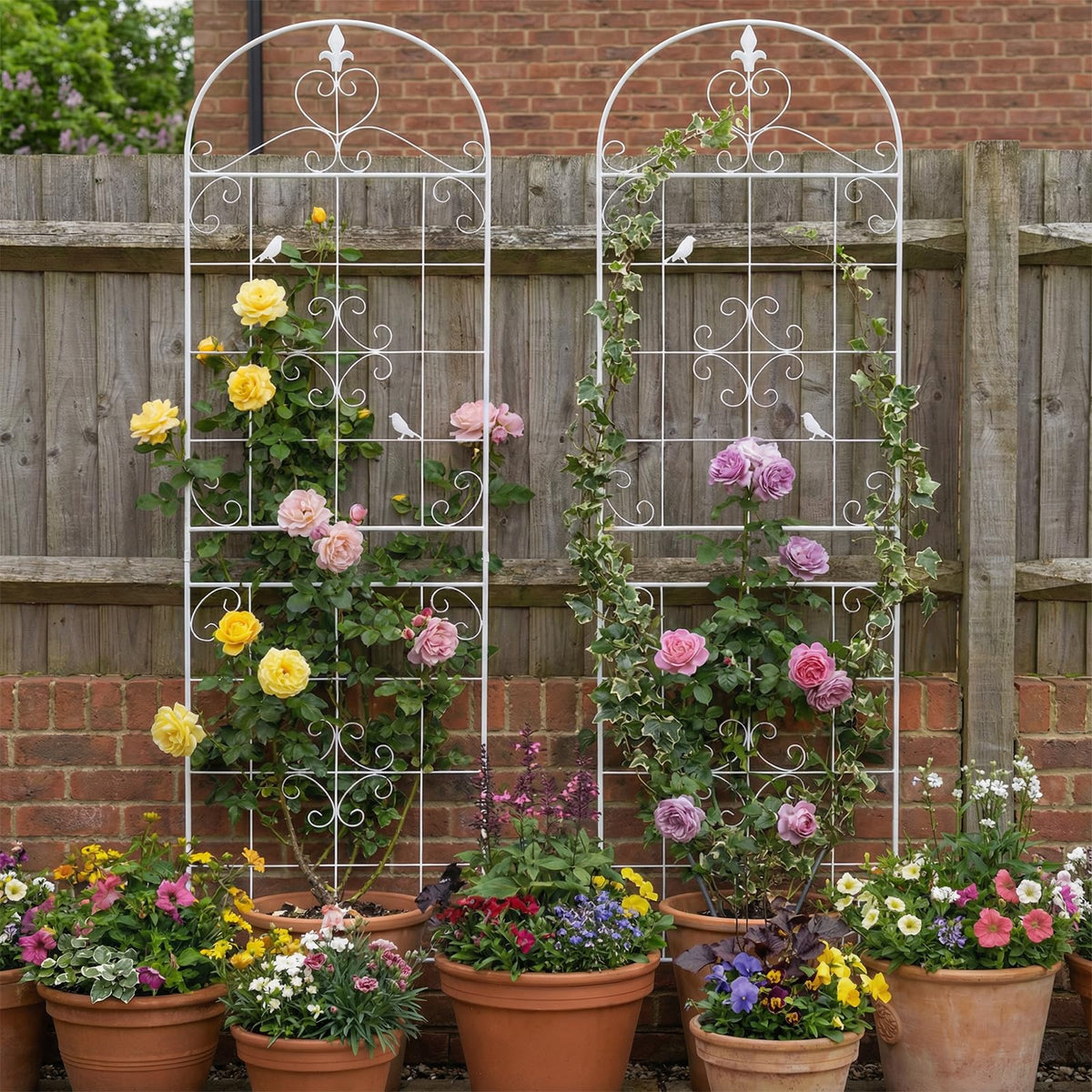 Maidapulu vertical gardening solution to maximize small-space plant displays.