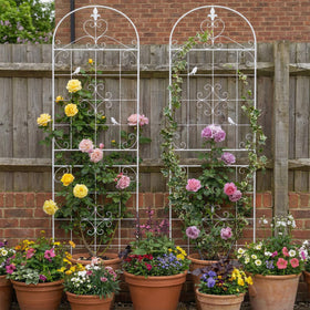 Maidapulu vertical gardening solution to maximize small-space plant displays.