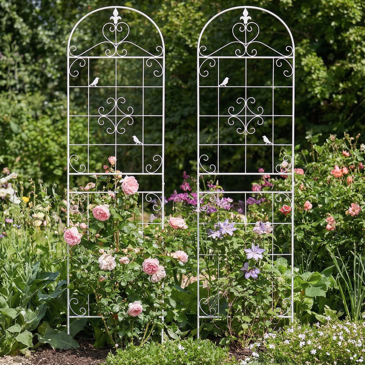 Maidapulu wall, fence, or container trellis keeps climbing vines organized.