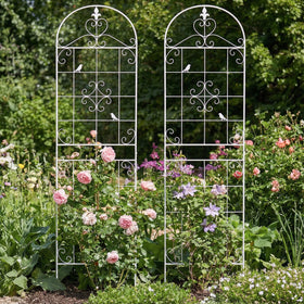 Maidapulu wall, fence, or container trellis keeps climbing vines organized.
