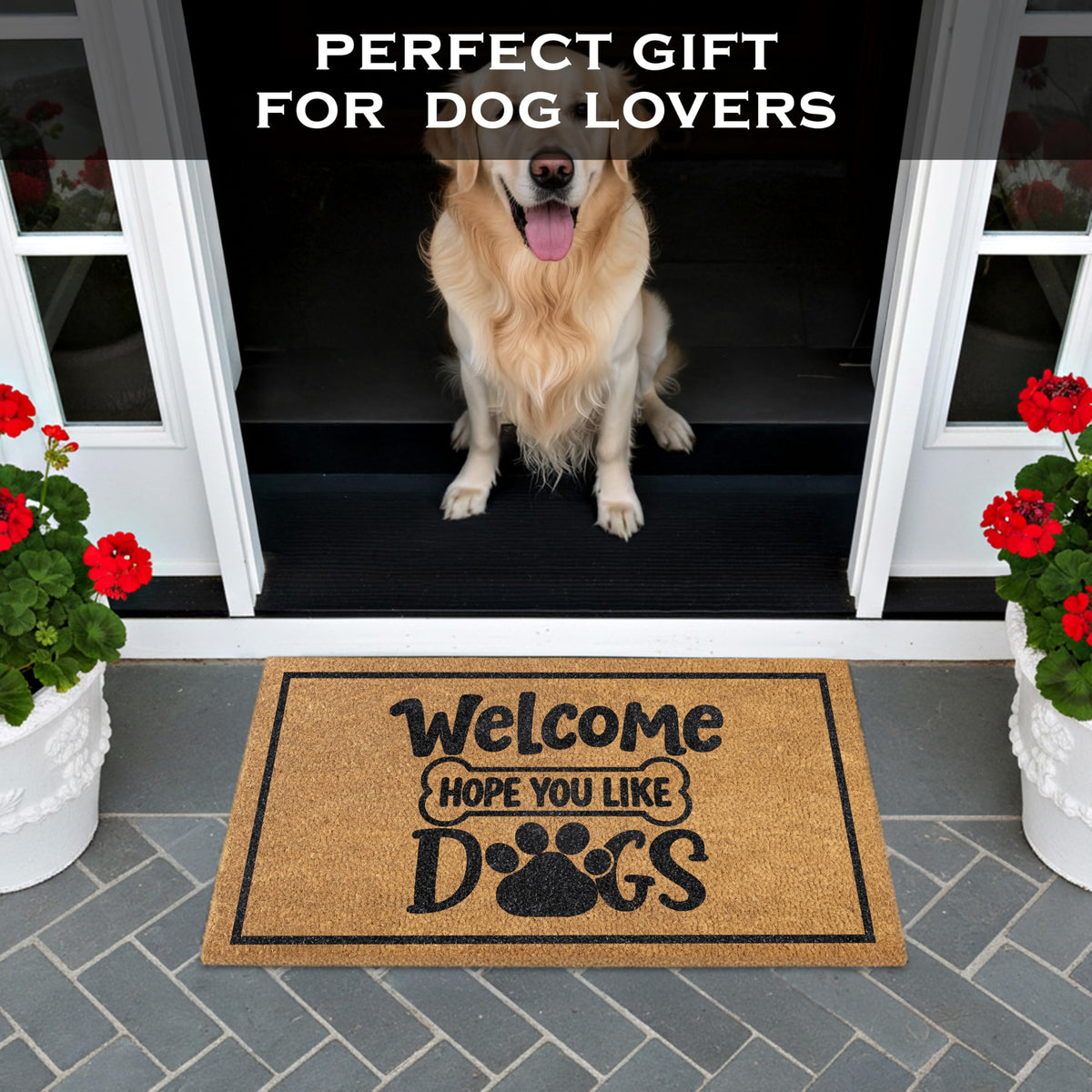 MAINEVENT Dog welcome mat at the doorway scraping dirt from shoes