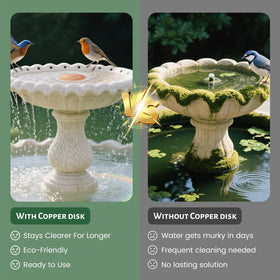 maiwoste All-season copper disk maintains cleaner water with minimal effort