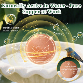 maiwoste Copper Disk triple-point support ensures stable placement for active birds