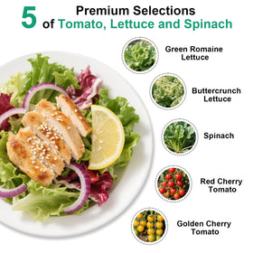 Majero Buttercrunch lettuce seeds ideal for crisp salads in hydroponics.