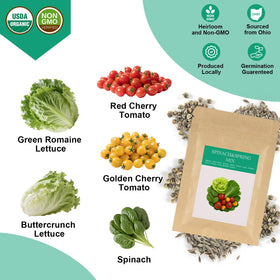 Majero red and golden cherry tomato seeds for compact indoor growth.
