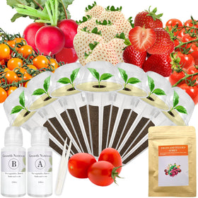 Majero red strawberry seed pod kit for Aerogarden ready for fresh home harvest