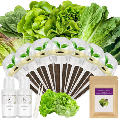 Majero salad greens seed pod kit with AeroGarden compatibility for easy hydroponic planting