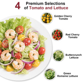 Majero Buttercrunch lettuce and Green Romaine lettuce in one kit.