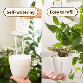 Make Good PlantPod Classic indoor plants setup demonstrating space-saving greenery