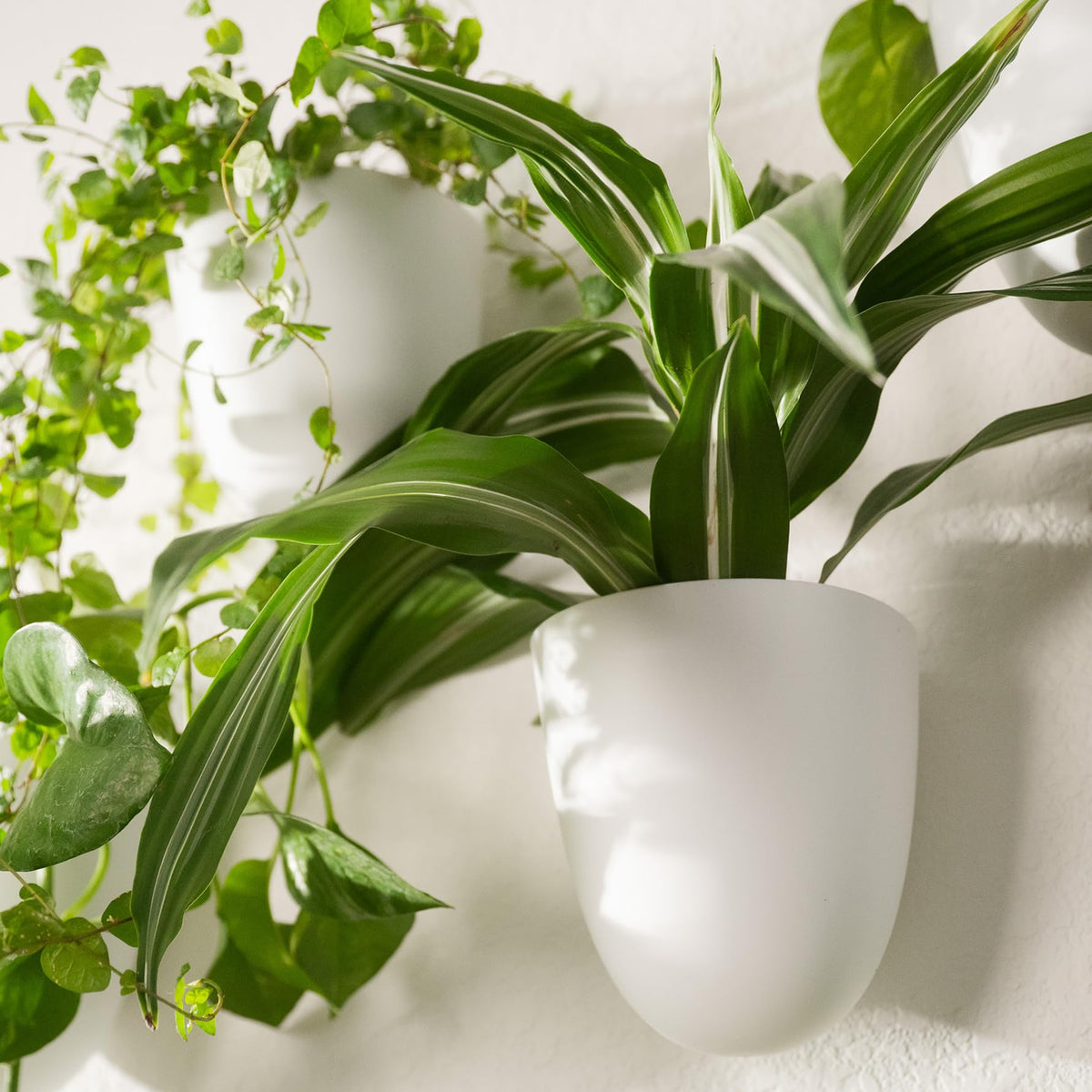 Make Good PlantPod Classic packaging and install guide for quick setup