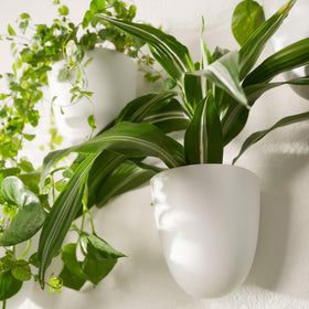 Make Good PlantPod Classic packaging and install guide for quick setup