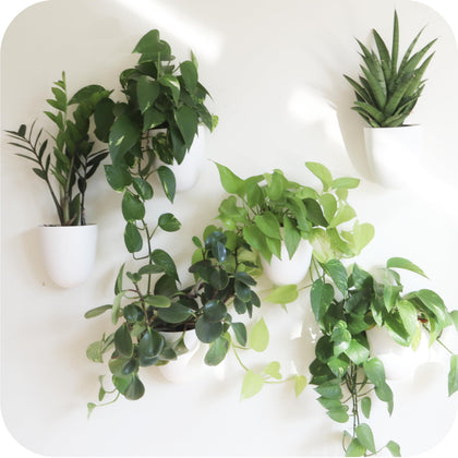 Make Good PlantPod Classic front view of white self-watering wall planter for compact spaces