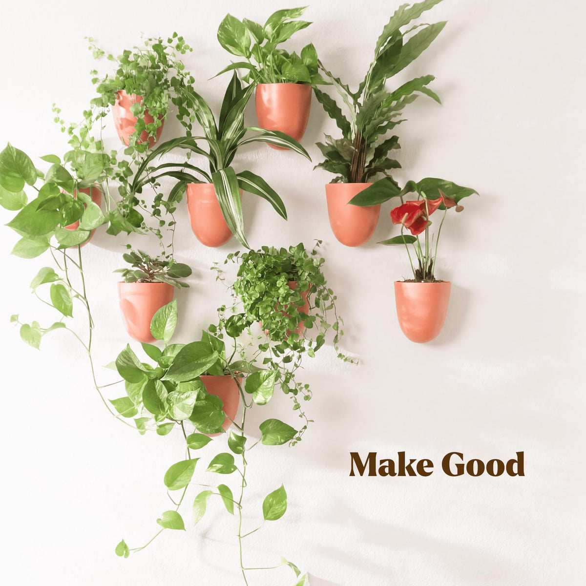 Make Good PlantPod Luxe terracotta finish adds warmth to any wall.