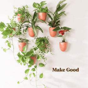 Make Good PlantPod Luxe terracotta finish adds warmth to any wall.