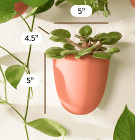 Make Good PlantPod Luxe self-watering system keeps plants hydrated with less frequent care.