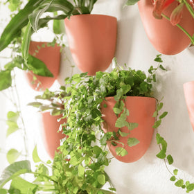 Make Good PlantPod Luxe six-pack creates a cohesive indoor plant display.