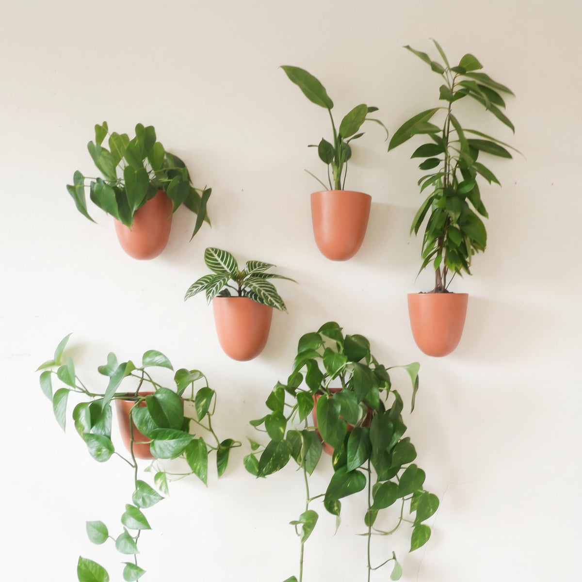 Make Good PlantPod Luxe wall planter in terracotta, easy assembly for a stylish vertical display.