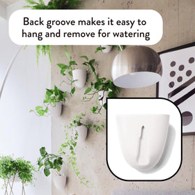 Durable white resin-like PlantPod Luxe wall planter in modern finish.