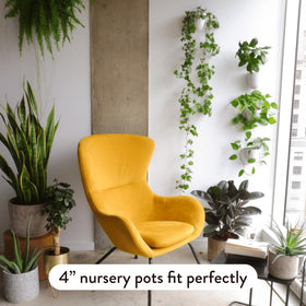 Planters fit standard nursery pots for real plant flexibility.