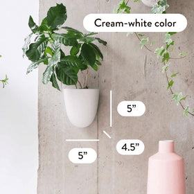 PlantPod Luxe wall planters installed with a single nail for quick setup.